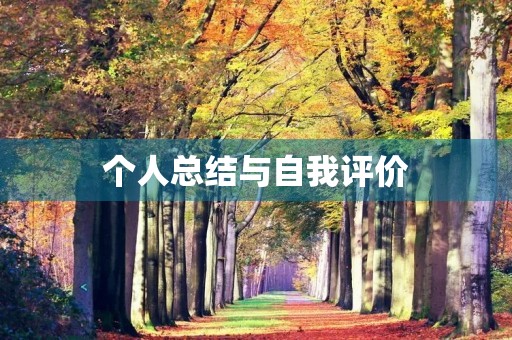 个人总结与自我评价