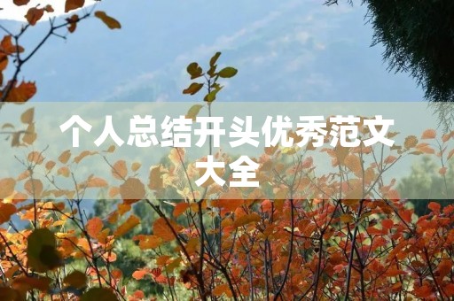 个人总结开头优秀范文大全
