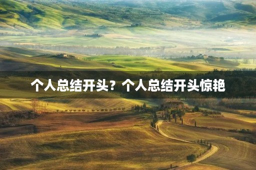 个人总结开头？个人总结开头惊艳