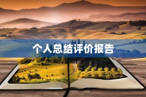 个人总结评价报告