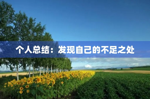 个人总结:发现自己的不足之处