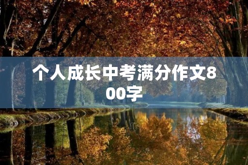 个人成长中考满分作文800字