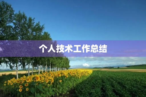 个人技术工作总结 个人技术工作总结