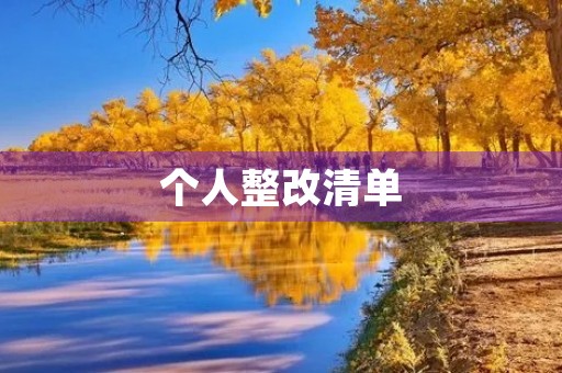 个人整改清单