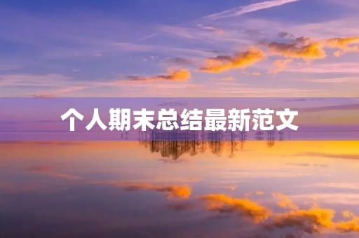 个人期末总结最新范文