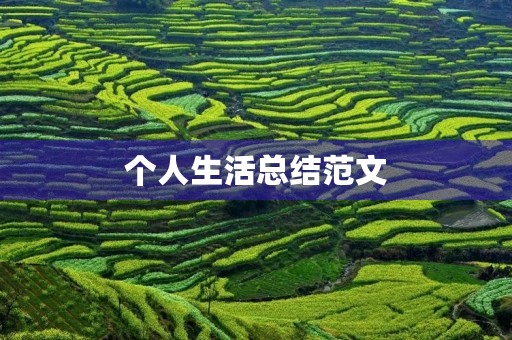 个人生活总结范文 个人生活总结范文