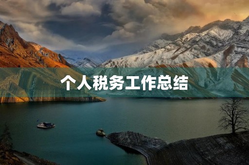个人税务工作总结