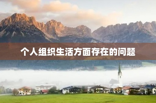 个人组织生活方面存在的问题