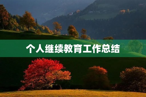 个人继续教育工作总结