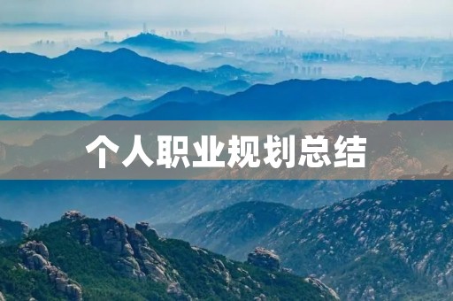 个人职业规划总结