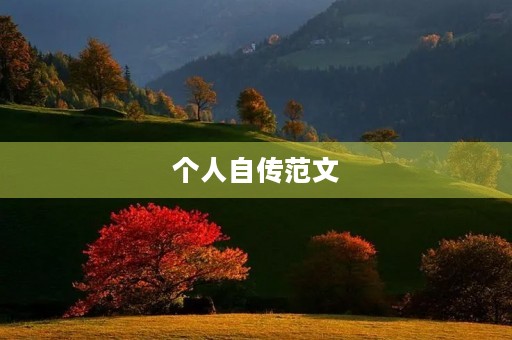 个人自传范文(个人自传的写作技巧)