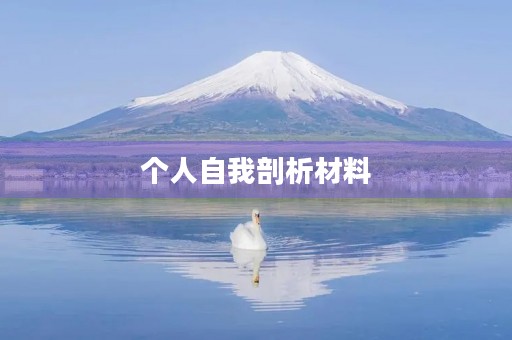 个人自我剖析材料