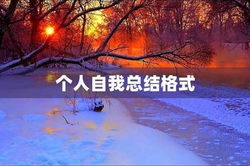 个人自我总结格式