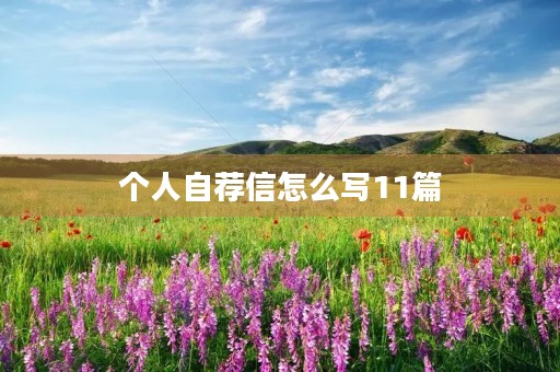 个人自荐信怎么写11篇