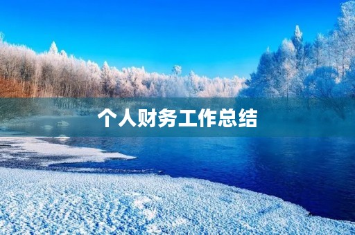 个人财务工作总结