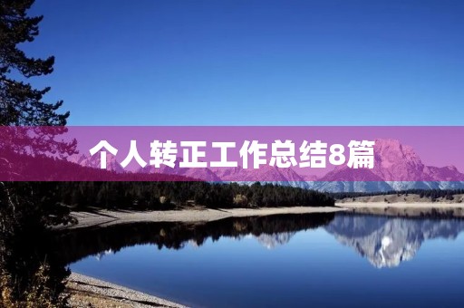 个人转正工作总结8篇