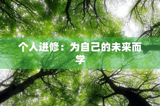 个人进修：为自己的未来而学