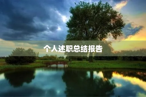 个人述职总结报告 个人述职总结报告