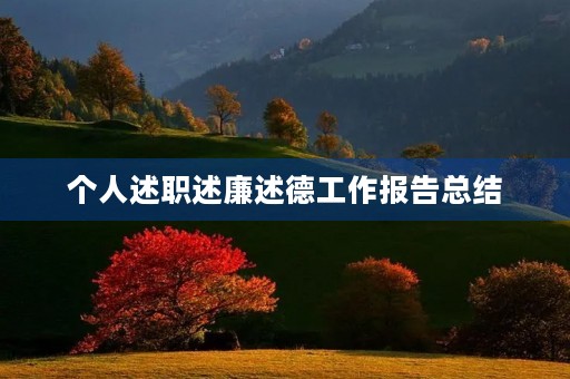 个人述职述廉述德工作报告总结