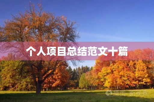个人项目总结范文十篇