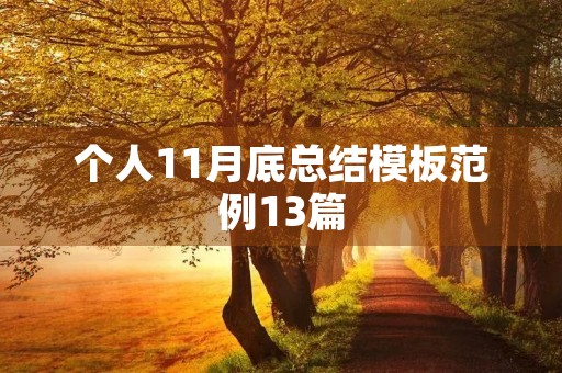 个人11月底总结模板范例13篇