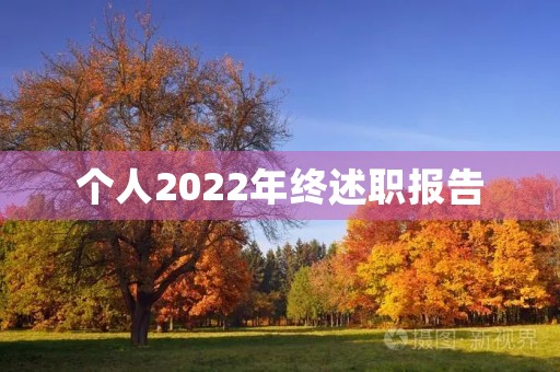 个人2022年终述职报告 个人2022年终述职报告