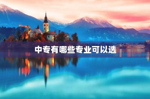 中专有哪些专业可以选 中专有哪些专业可以选