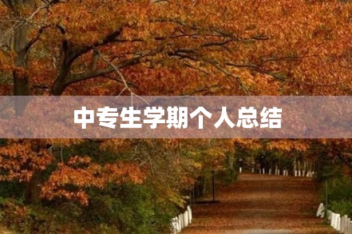 中专生学期个人总结