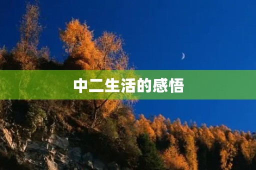中二生活的感悟 中二生活的感悟