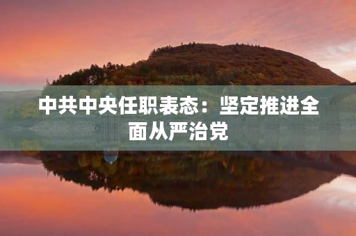 中共中央任职表态：坚定推进全面从严治党