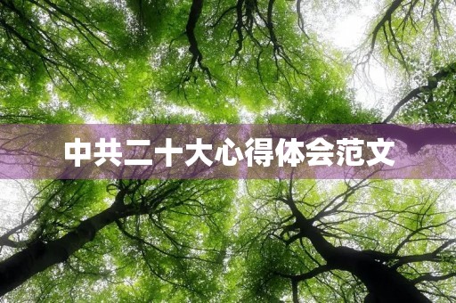 中共二十大心得体会范文