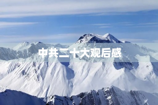 中共二十大观后感 中共二十大观后感