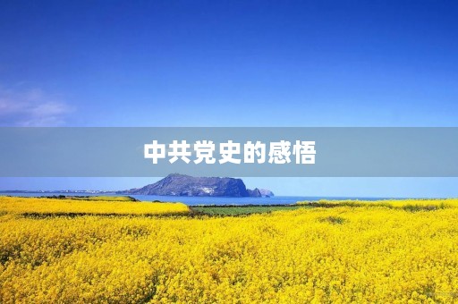 中共党史的感悟