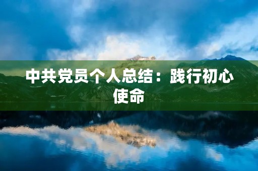 中共党员个人总结:践行初心使命,助力党建工作