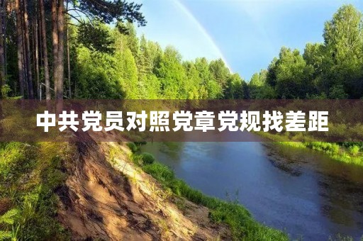 中共党员对照**党规找差距