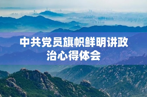 中共党员旗帜鲜明讲政治心得体会
