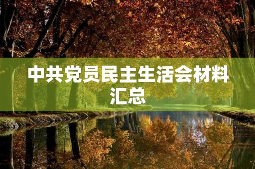 中共党员民主生活会材料汇总