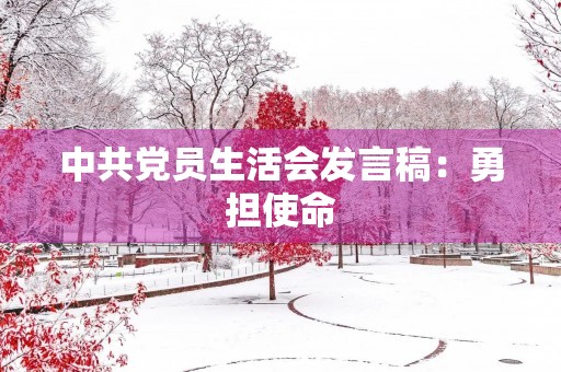 中共党员生活会发言稿:勇担使命,奋发有为 中共党员生活会发言稿:勇担使命,奋发有为