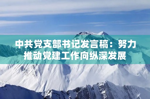 中共党支部书记发言稿：努力推动党建工作向纵深发展
