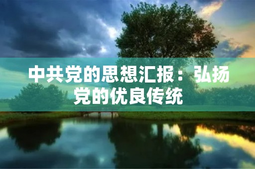 中共党的思想汇报：弘扬党的优良传统，推进伟大事业