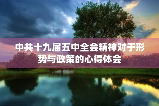中共十九届五中全会精神对于形势与政策的心得体会