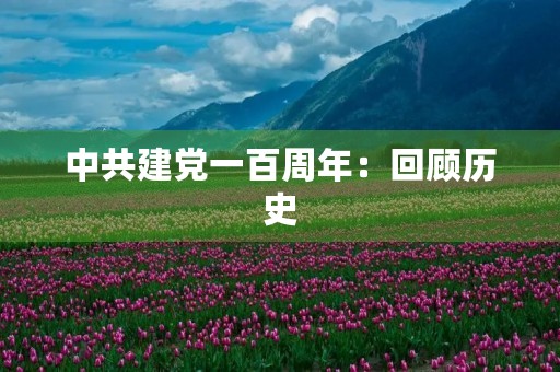 中共建党一百周年:回顾历史,展望未来 中共建党一百周年:回顾历史,展望未来