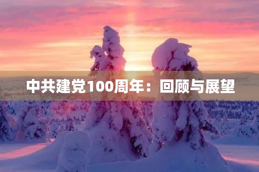 中共建党100周年:回顾与展望 中共建党100周年:回顾与展望