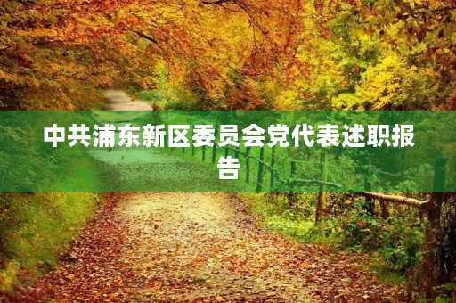 中共浦东新区委员会党代表述职报告 中共浦东新区委员会党代表述职报告