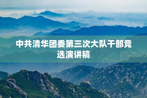 中共清华团委第三次大队干部竞选演讲稿