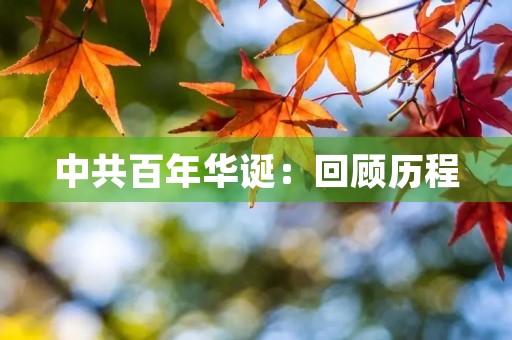 中共百年华诞:回顾历程,展望未来 中共百年华诞:回顾历程,展望未来