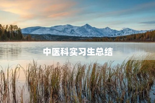 中医科实习生总结