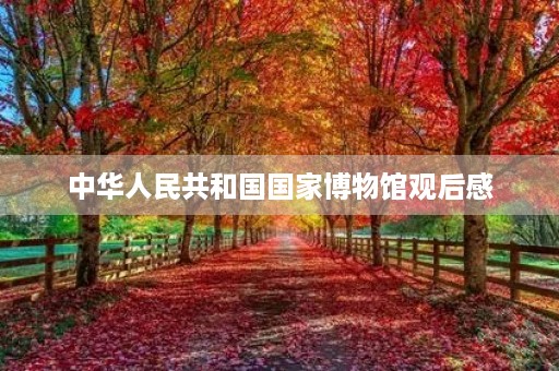 中华人民共和国国家博物馆观后感 中华人民共和国国家博物馆观后感