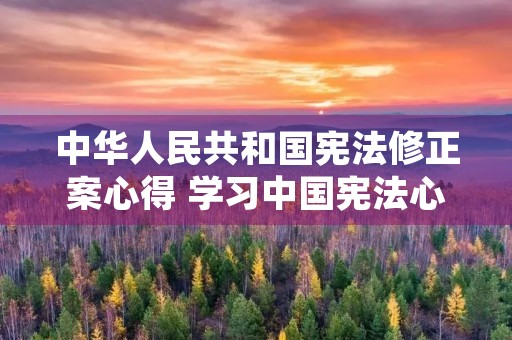 中华人民共和国宪法修正案心得 学习中国宪法心得