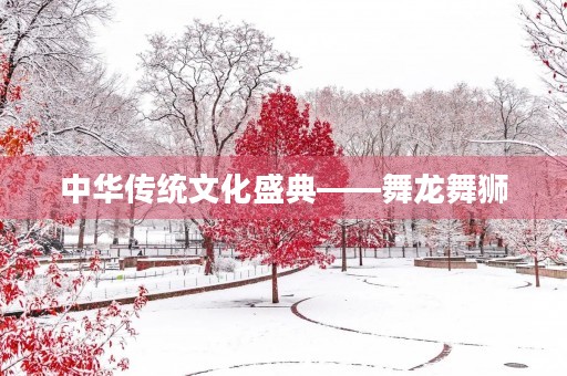 中华传统文化盛典——舞龙舞狮